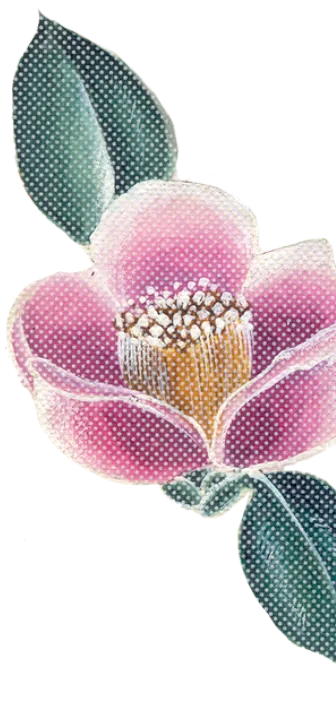 decoration