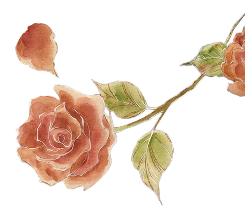 Deco Background